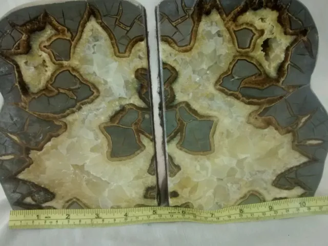 Stunning Septarian dragon stone geode nodule natural  specimen bookends