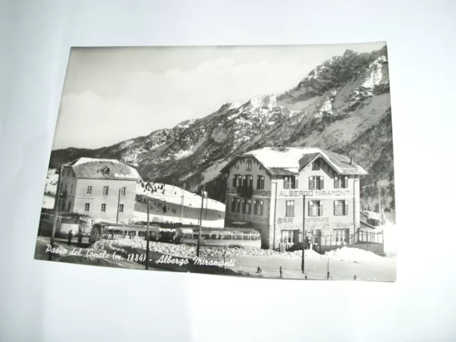 Trento - Passo del Tonale m. 1884 Albergo Miramonti -  non spedita f. g.