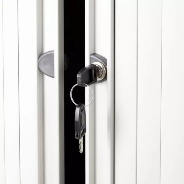 Bisley Tambour Door Cupboards Office Storage Secure Lockable Steel Shelves 2