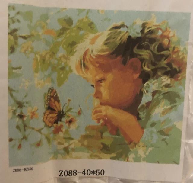 pintura por números lienzo adulto
