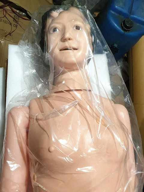 Multi Functional Nursing Training Plastic Female Mannequin  Medulla Puncture