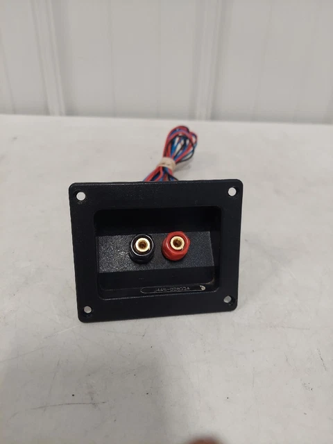 INFINITY RS4 Crossover and Input Connections #1007