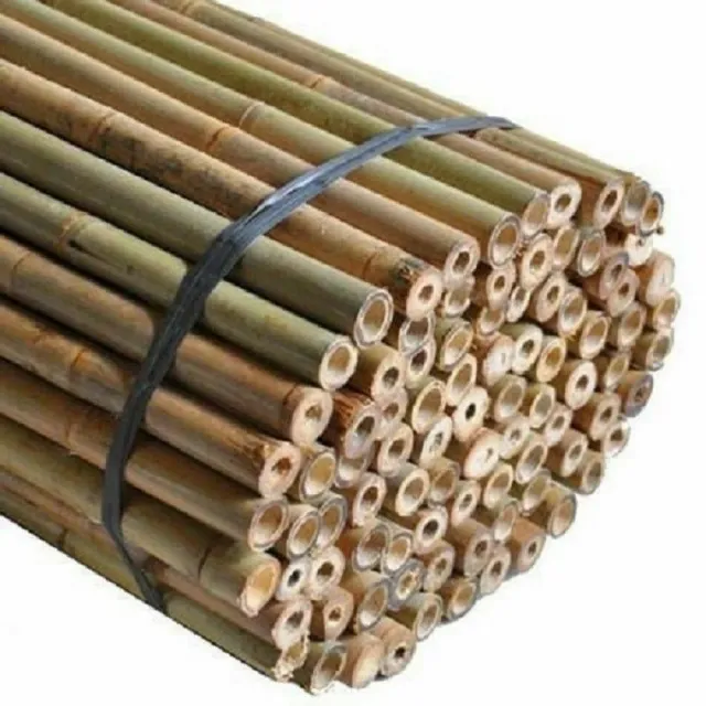 Bamboo Garden Canes Plant Support Sticks Heavy Duty Thick Wooden Quality Stakes 2