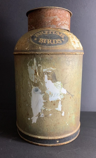 Canta de té Toleware/Caddy pájaros británicos pintura escamosa granero intacto hallazgo