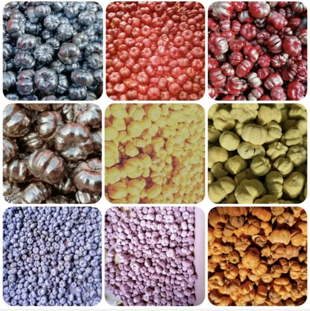Dried Fruit 20 x Mixed Colour Putka Pods (1 - 2cm) crafts,  mini pumpkin