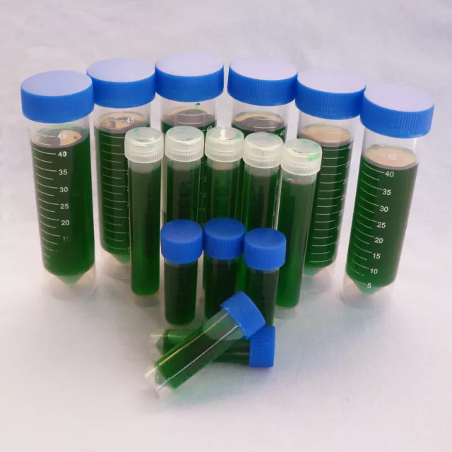 Plant Cuttings Rooting Clone Gel - Professional grade - Better than CLONEX