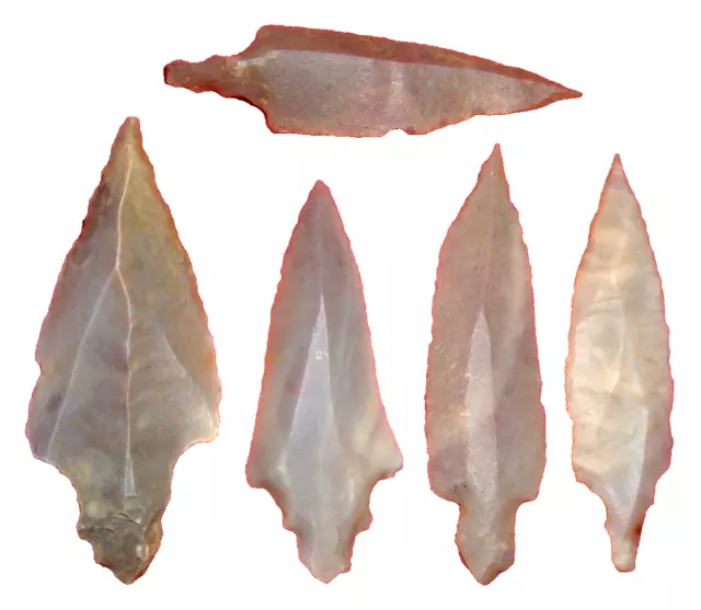 (5) Big Sahara Mesolithic Stemmed Points, Prehistoric African Arrowheads