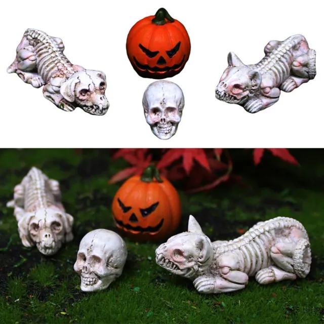 Cráneo Gato Perro Huesos Calabaza Mueca Halloween Animal Esqueleto Fiesta Adornos