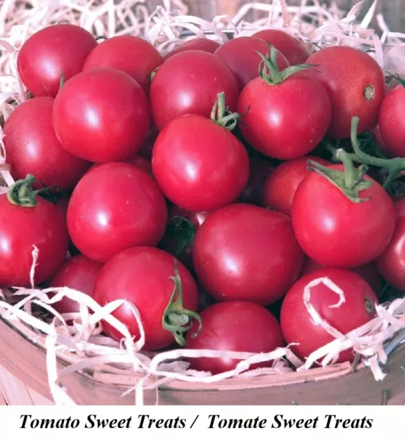 Seeds Tomato Cherry SWEET TREATS Tomate 25 Gr TOP Very JUICY TASTY NO CRACKING +