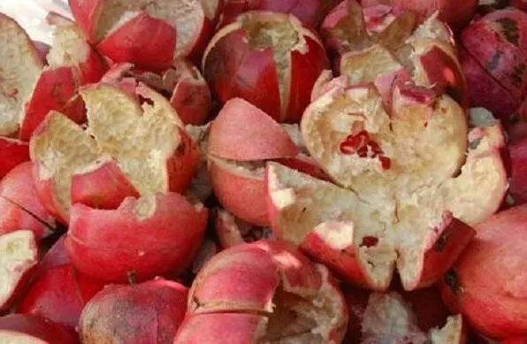Pure Organic Pomegranate Peel from Holy Land Palestine قشر رمان نقي من فلسطين