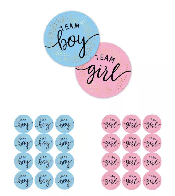 Gender Reveal Baby Shower Party Games Team Boy or Girl Stickers Vote Favours