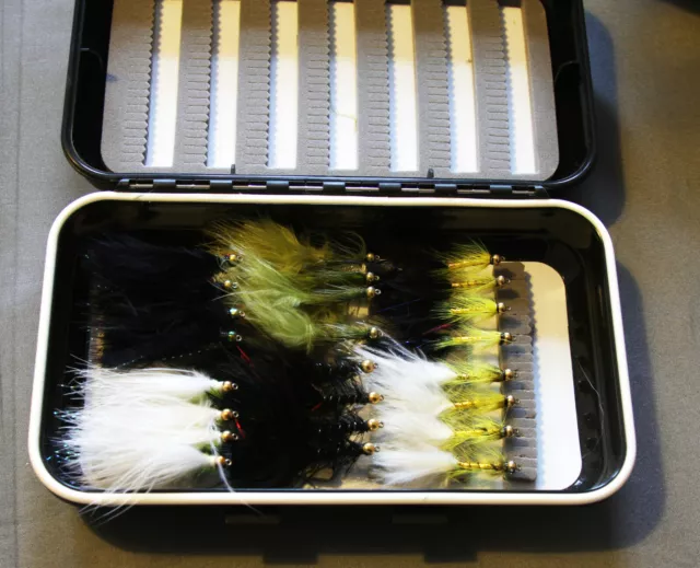 Cats Whisker Flash Damsel & Dancer Flies  Box of 24  Great selection Trout Pike