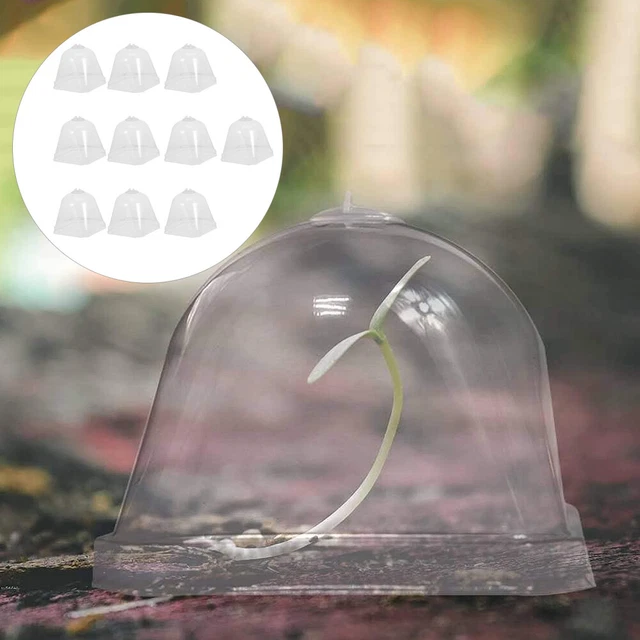 Abdeckung Für Blumentöpfe Plastik Gartenabdeckung Mini-Gewächshaus