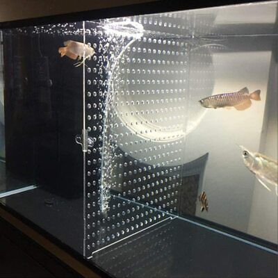 Aquarium Fish Tank Acrylic Divider 11.8 inch*11.8 inch (NO SUCTION CUPS)