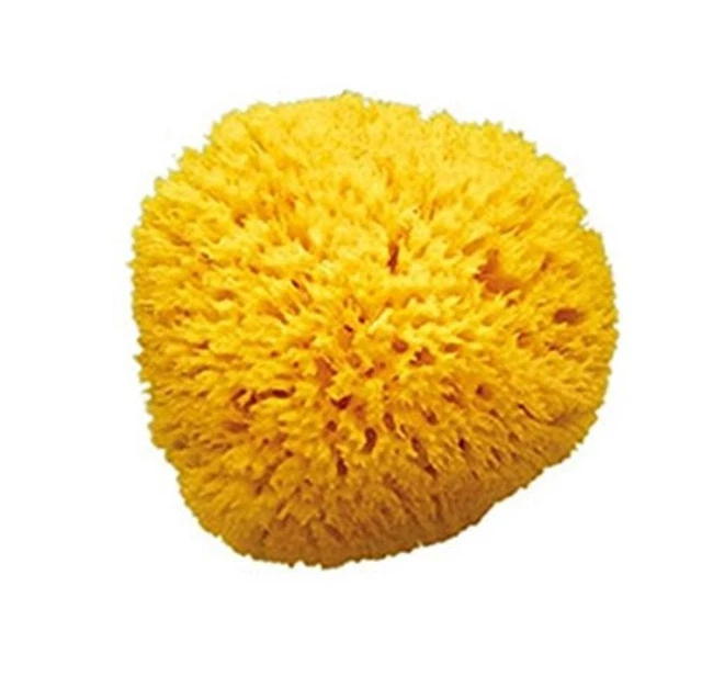 (TG. 14) OKBABY Arcipelago - Spugna Naturale dal Mar Mediterraneo per il Bagnett