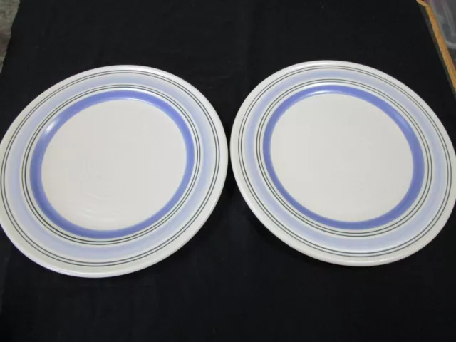 Pfaltzgraff ~ Rio ~ 11 1/8" Dinner Plates ~ Set Of (2) ~ New With Tags