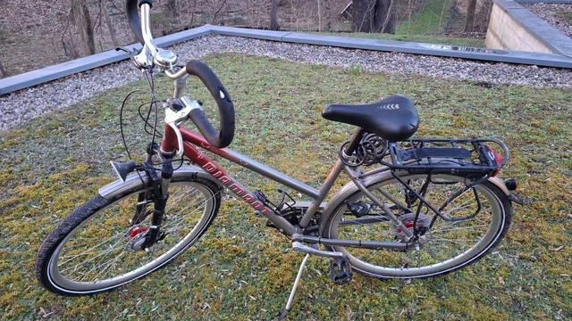 fahrradständer radständer BIXXE´S für 2-6 Bike Fahrrad Aufstellständer Bike MTB fv:75 mm Options:G TITANIUM Cube Fahrrad Schutzbleche im