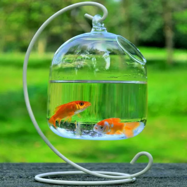 Aquarium NEW Hanging Glass Clear Fish Bowl Tank Flower Plant Vase Decoration
