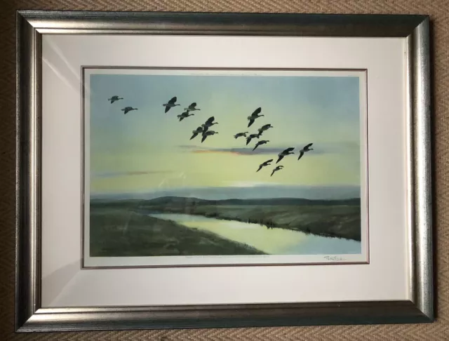 SIR PETER SCOTT- “Morning flight over The marsh Pinkfeet “Signed Ltd Edit  Print