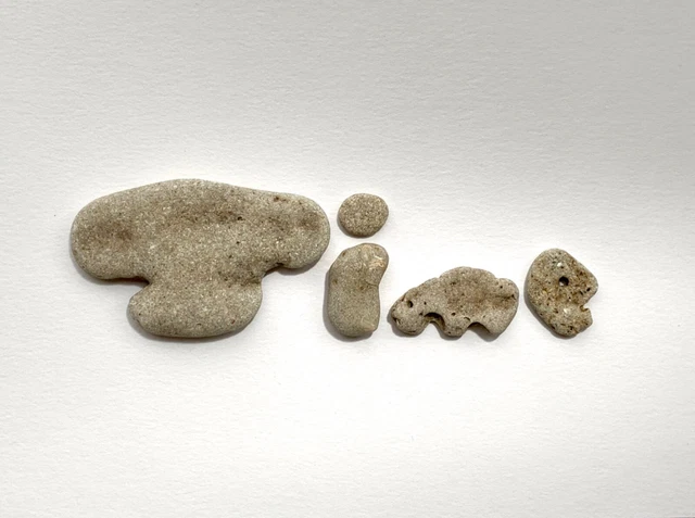 NATURALLY LETTER SHAPED DOG Beach Stones Rocks Pebble Art Craft Word 