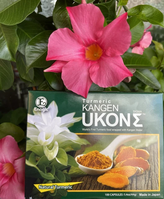 ENAGIC KANGEN UKON Sigma Turmeric (Kurkuma) 100 Softgels pro Box EUR