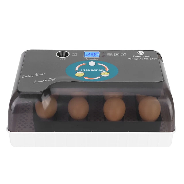 (Prise UE) Incubateur Intelligent 'oeufs De 12 Oeufs Incubateur