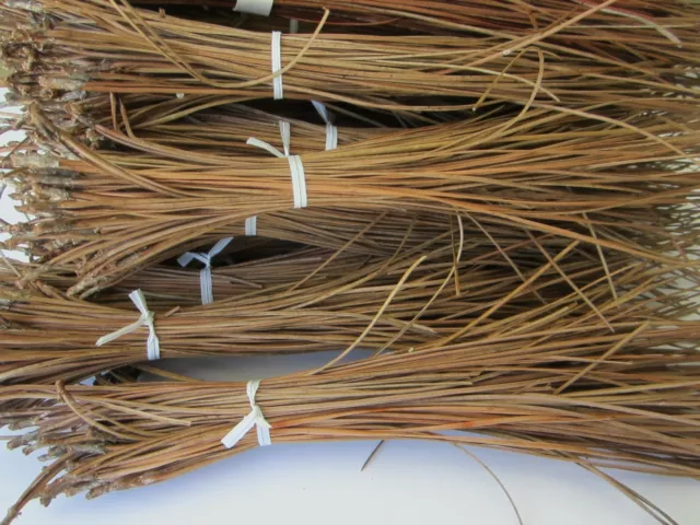 FLORIDA LONGLEAF PINE NEEDLES, DRIED 5" TO 10", for Weaving, Crafts, Gourds 1# 3