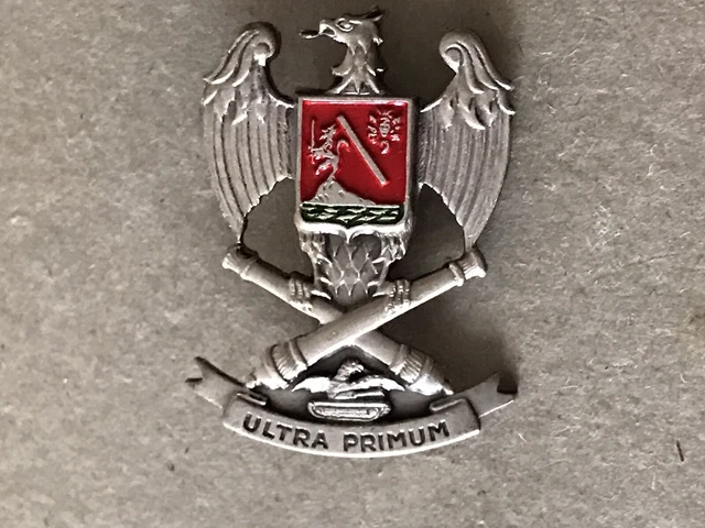 Toppa Del Battaglione Ranger Dell'esercito Americano Con - Foto 7