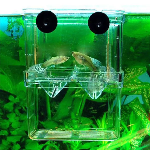 Clear Aquarium Hatchery Trap Fish Breeding Box Tank Fry Breeder Isolation Box