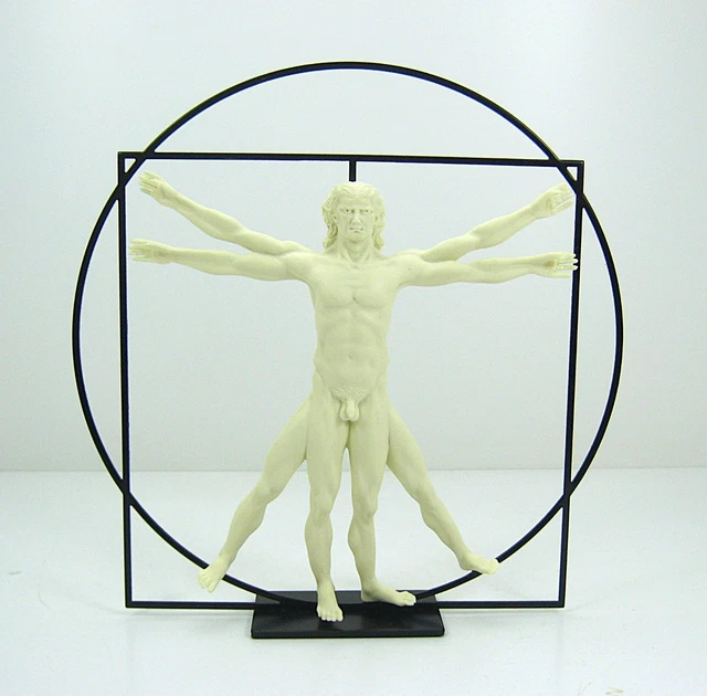 Tableau Toile « L’Homme De Vitruve » De Léonard De Vinci – Format 30x45 Cm – Déco Murale