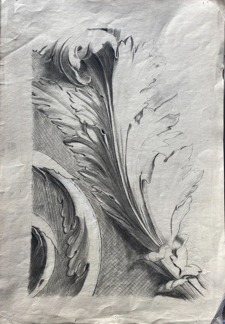 “Ornato” disegno A Matita Su Carta D’epoca