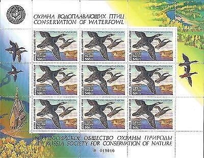 Russia 1994 Sheet Conservation Of Waterfowl Hunting Ducks