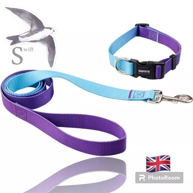 Reflective Collar And lead Set With Gradient Violet Adjustable Durable Strong