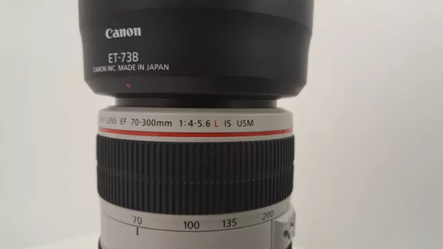 Canon EF 70-300mm F/4-5.6 L IS USM 3