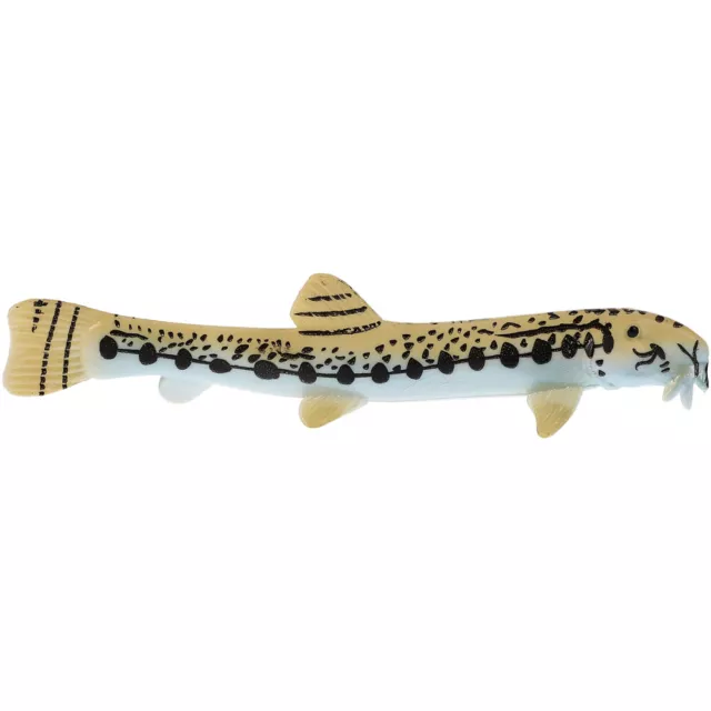 marine animal model Realistic Loach Loach Model Adornment Chinese Loach Toy