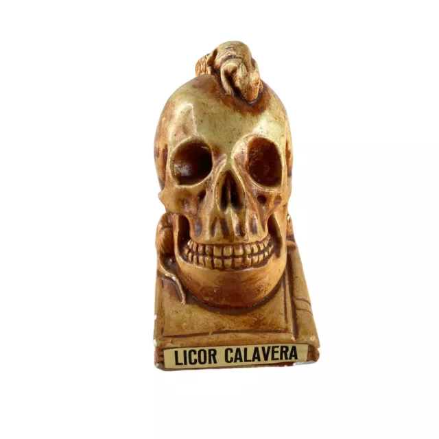 Licor Calavera Totenkopf Mit Ratten Vintage Dekoration