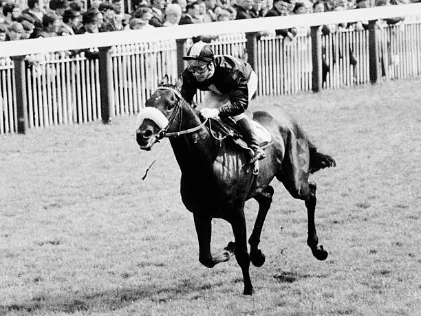 Horse Race Geoff Lewis Riding Mill Reef At York 1980 Old Photo