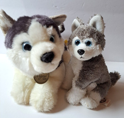 aurora world miyoni lying husky plush