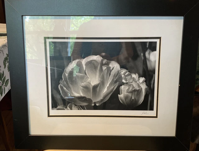 Jesse Kalisher Gallery The Victoria Gardens # 6298 Framed Photo Artwork, Signed