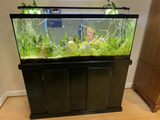 55 Gallon Planted Aquarium Includes Glass Tank and Lots More. See Below