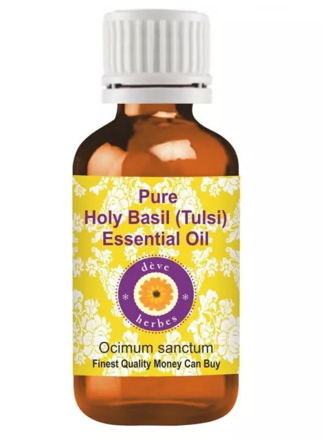 Aceite esencial puro de albahaca sagrada (Tulsi) (Ocimum sanctum) Destilado...