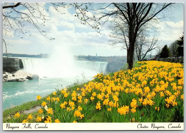 Postcard Ontario Niagara Falls ON Horseshoe Falls Daffodils Queen Victoria Park