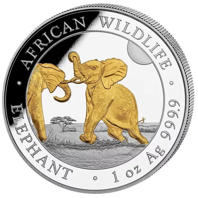1 OZ SILVER African Wildlife Elephant Somalia 2024 Gilded £40.51