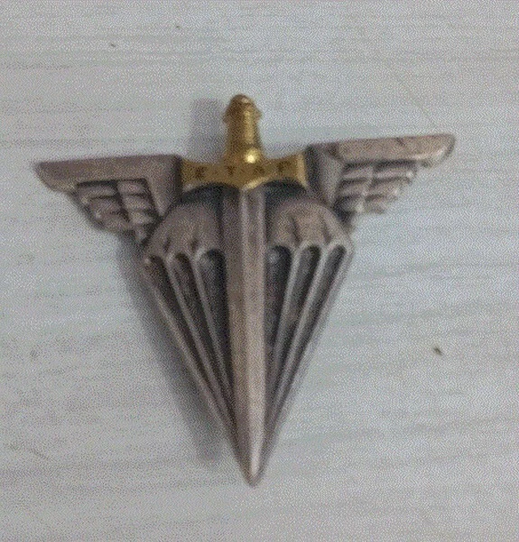DRAGO G3032- INSIGNE Ecole d'Application de l'Artillerie EAA, 12.67G