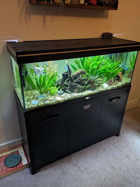 4ft fish tank / Aquarium with external filter