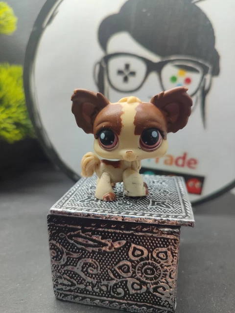 Poupée BJD Groove Pang Jungle - Campbell Pang Chien Chihuahua - Rare