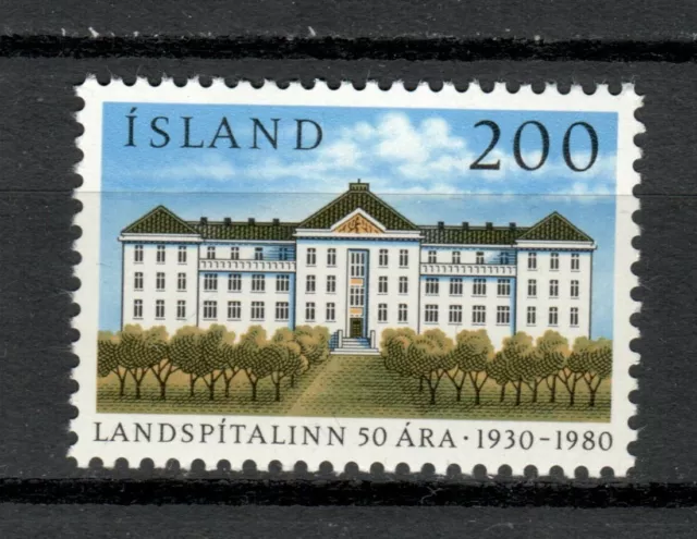 s34039 ISLAND ICELAND ISLANDA MNH 1980 National hospital 1v