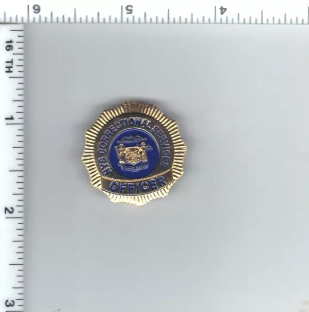 New York State Department of Correctional Services (DOCS) Officer Mini Pin