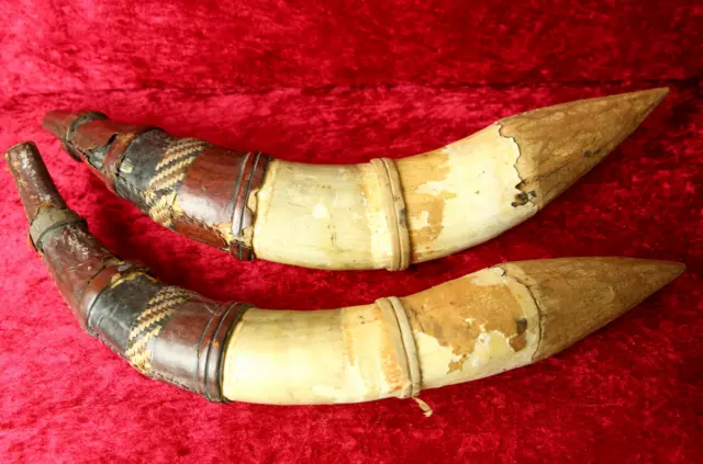 Zwei große antike Pulverhörner, ca. 150 Jahre alt, Holz, Leder und Horn, 50cm