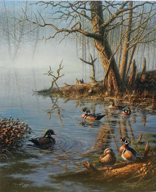 Whistler's Hollow by Dennis Schmidt Wood Ducks Hunting Trees Ltd Ed Art Print